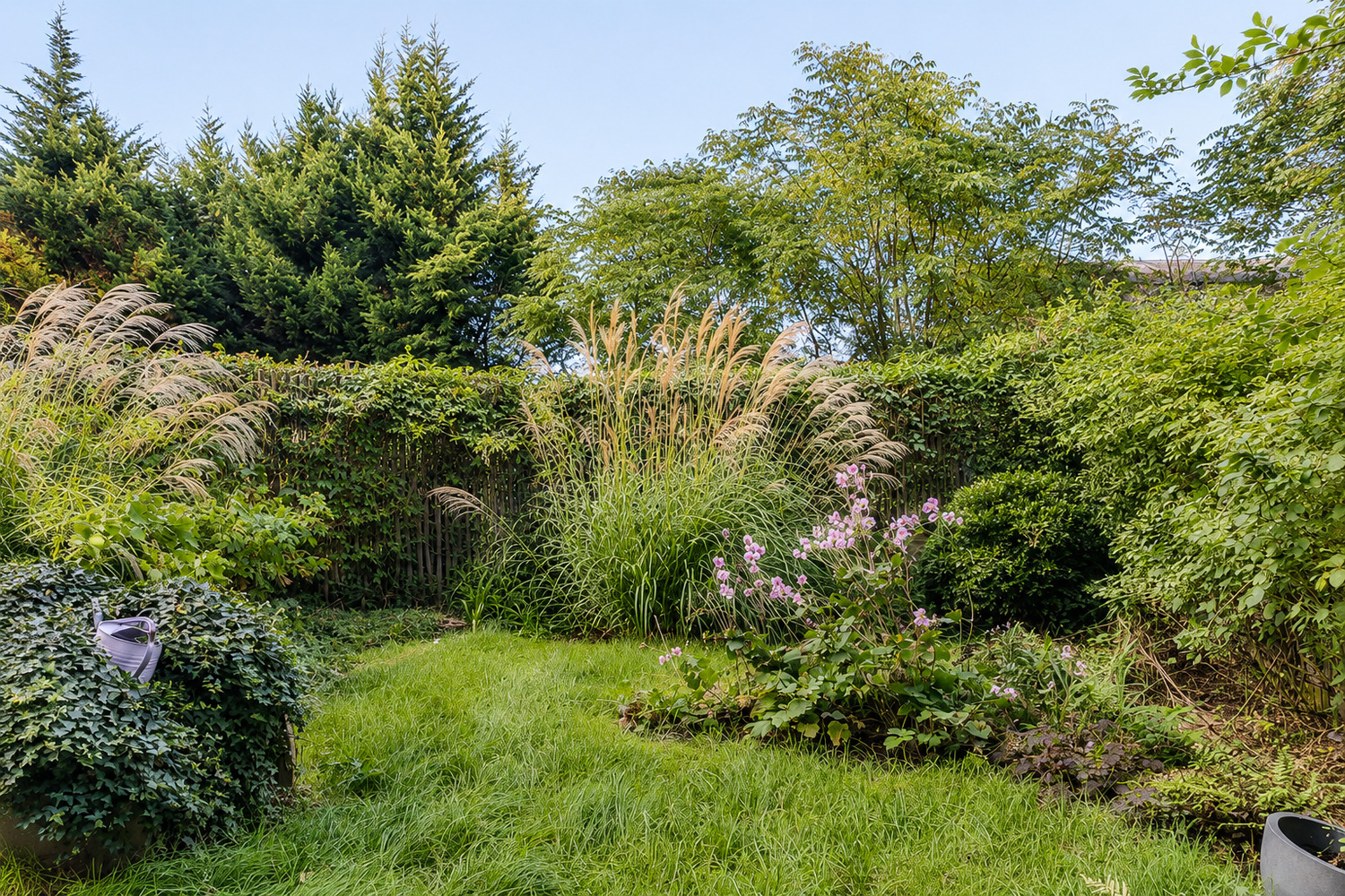 Property view 2