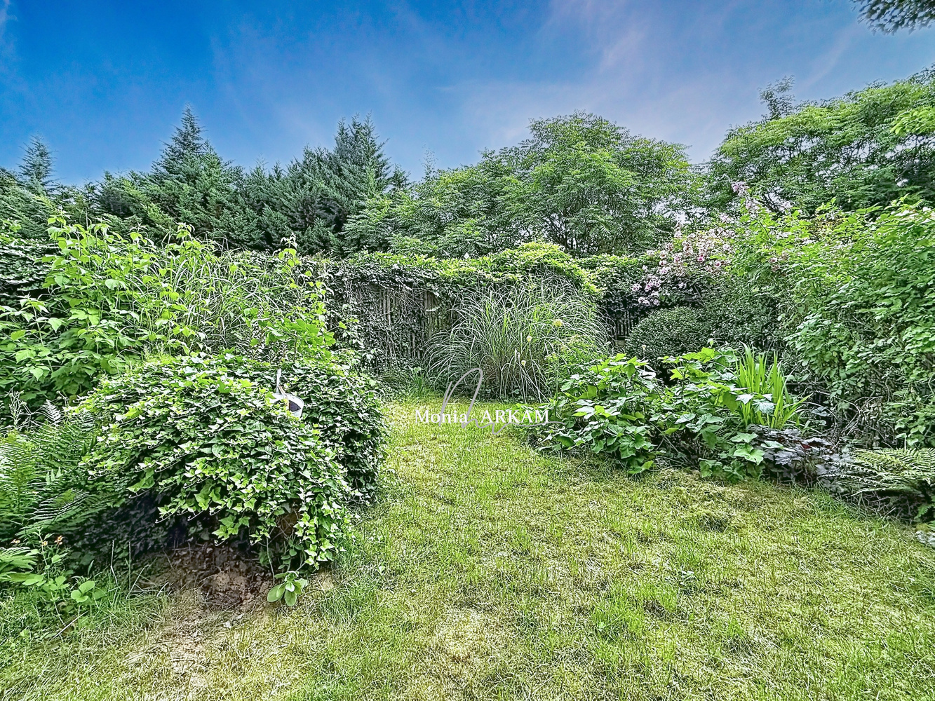 Property view 2